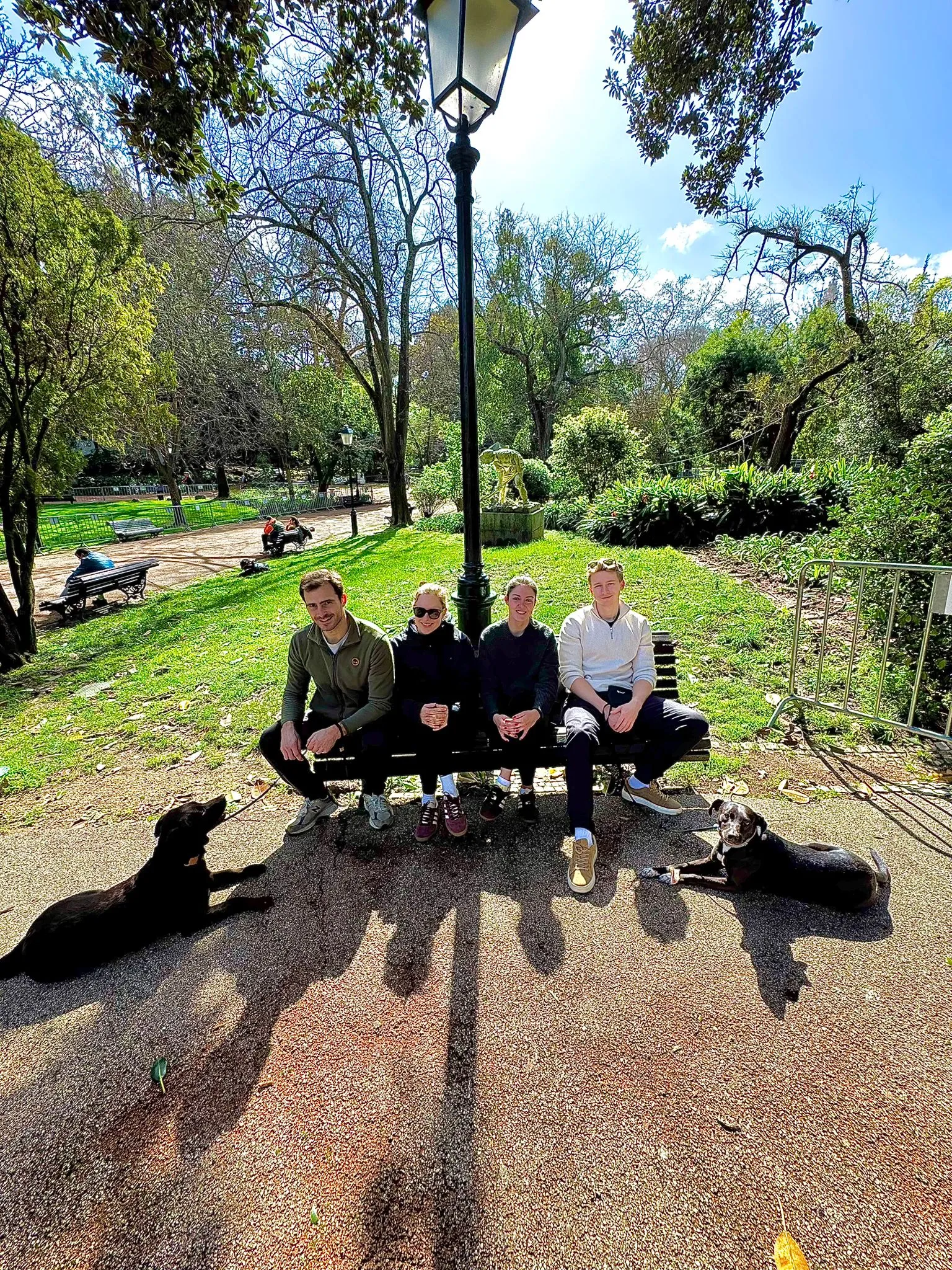 Trabalho com Cães